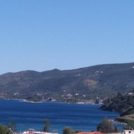 Forest&Sea Apartment Poros Town Exterior foto