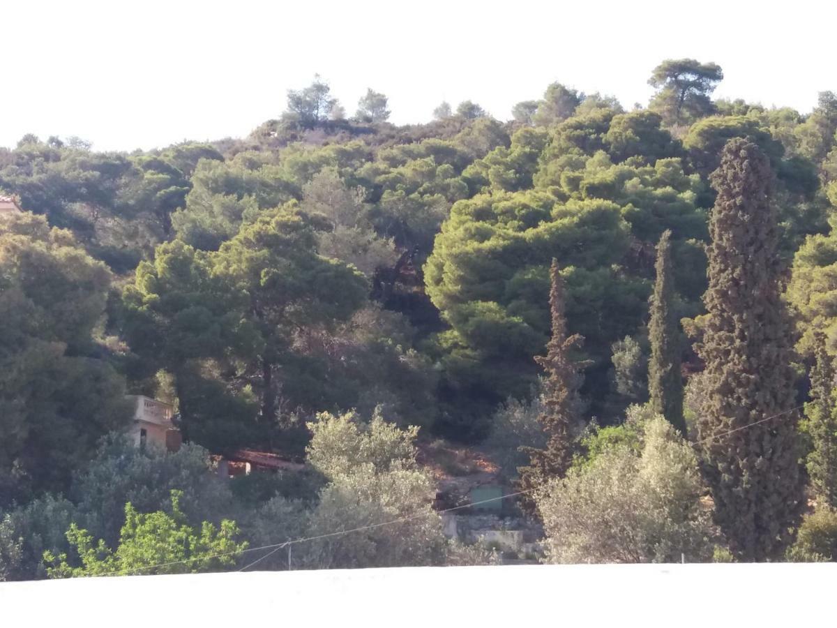 Forest&Sea Apartment Poros Town Exterior foto